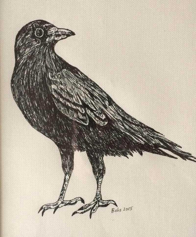 Crow Bro
